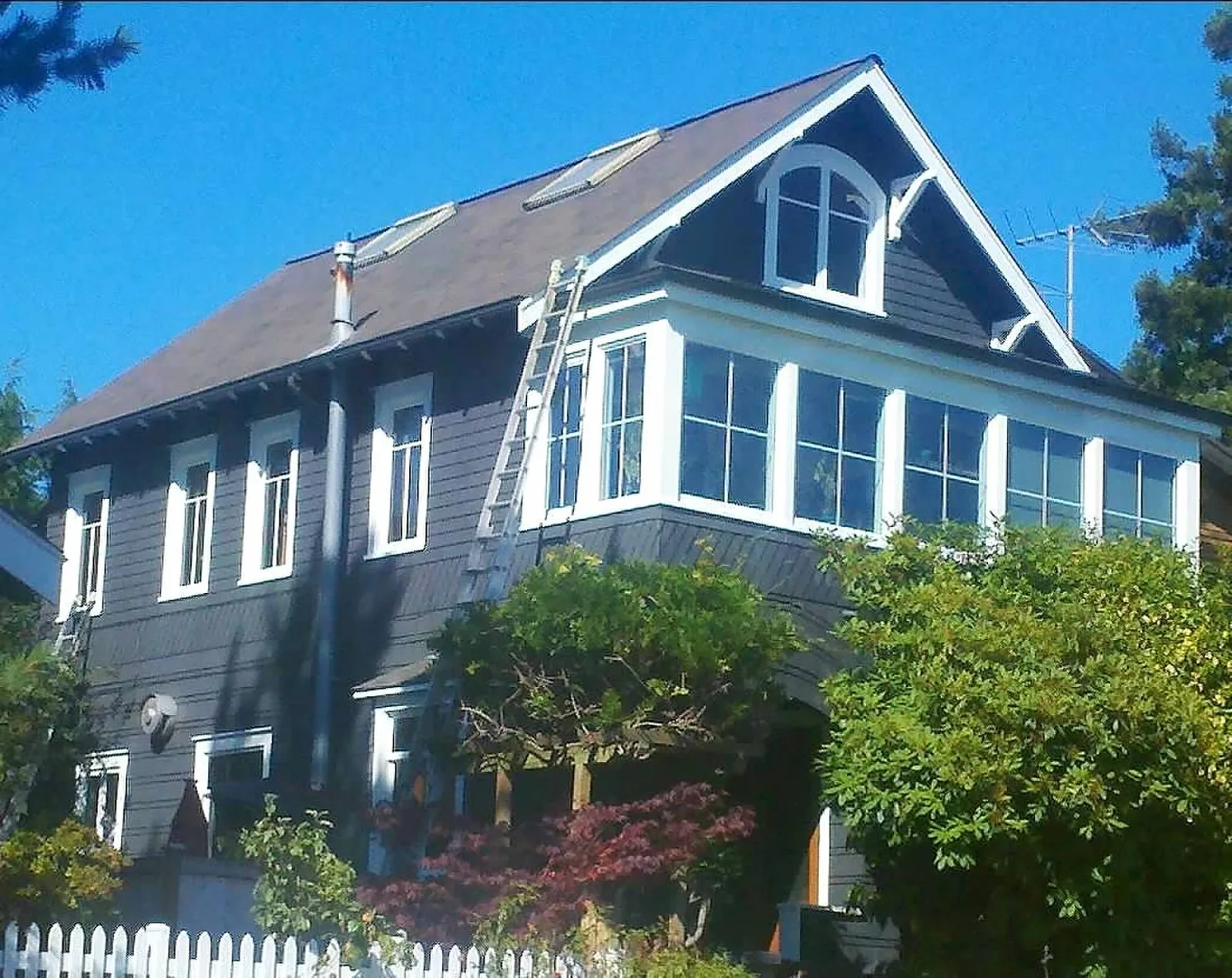 Freshly painted dark blue craftsman-style house with crisp white window trim